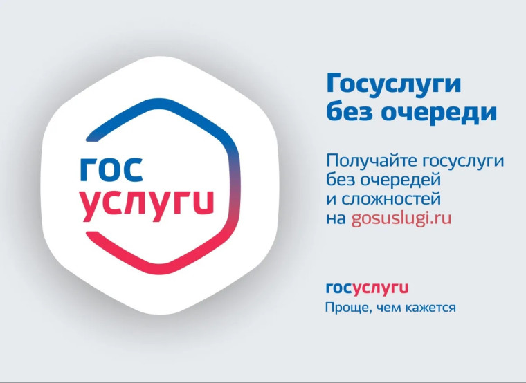 Получения услуг через Единый портал государственных услуг. Получения услуг через Единый портал государственных услуг.